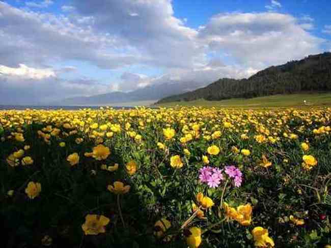 新疆风光１,图七