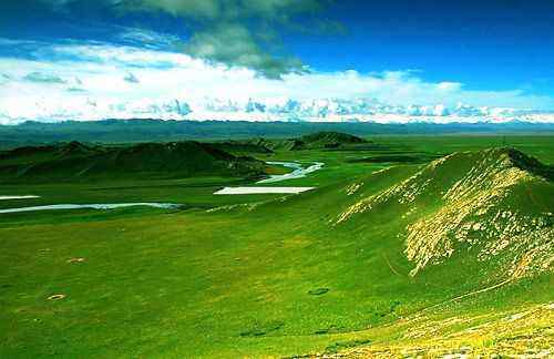 新疆巴音布鲁克草原,图十二