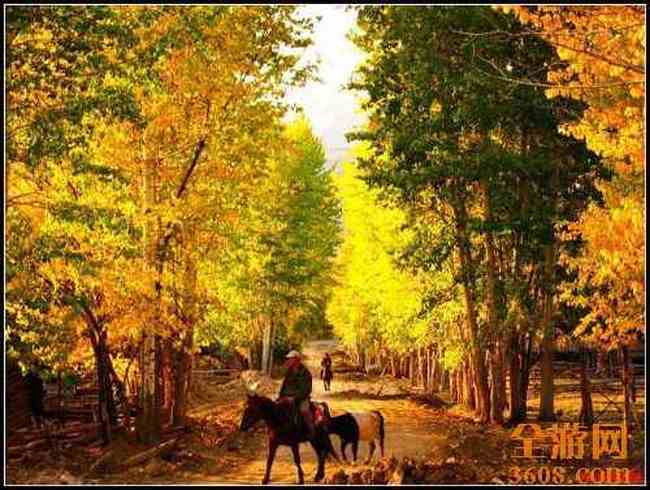 新疆北疆风光,图二十二