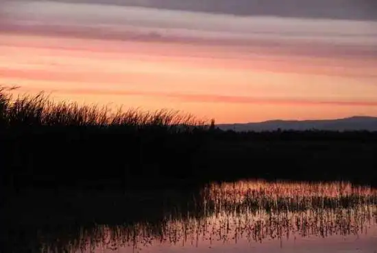 哈巴河：血色残阳 湿地夕照