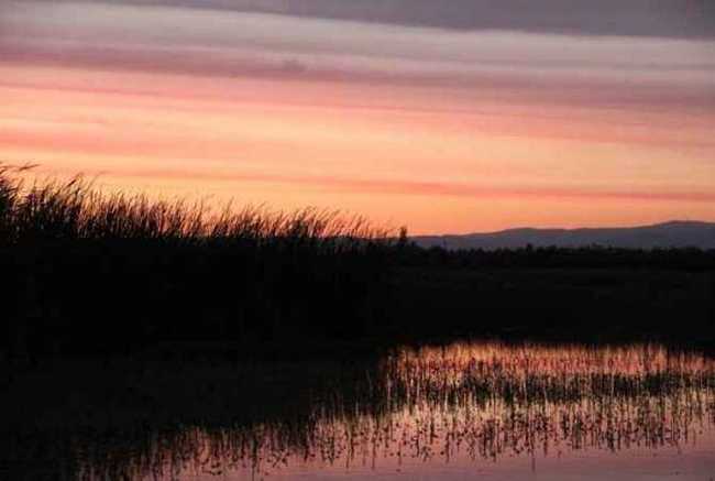哈巴河：血色残阳 湿地夕照,图十三