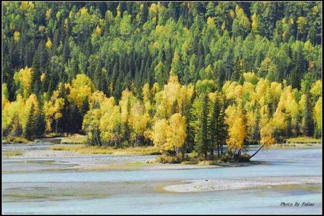 喀纳斯风光组图,图十六