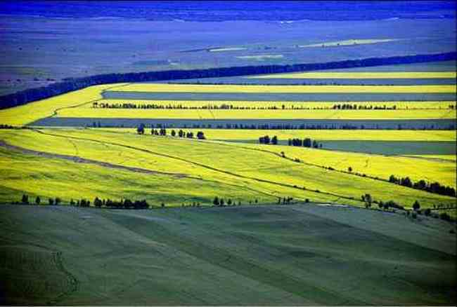 新疆昭苏行,图三