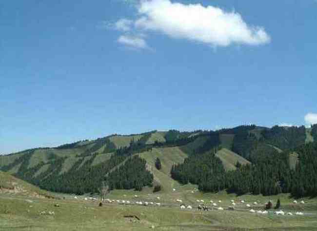 新疆 - 南山牧场,图十