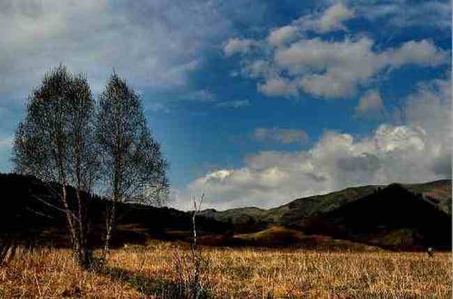新疆夏爾希里自然保護區(qū),圖七