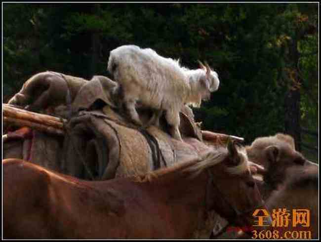 新疆北疆风光,图三十