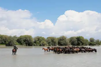 昭蘇濕地公園,天馬浴河,圖五