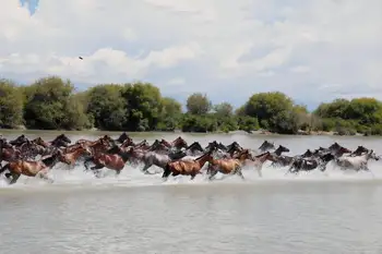 昭蘇濕地公園,天馬浴河,圖九