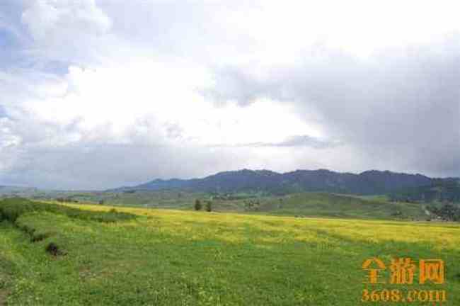 我的家乡新源,图九