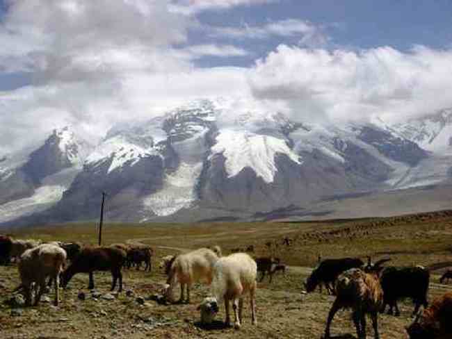 新疆喀什风光,图五