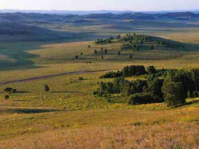 新疆草原（下）,图六