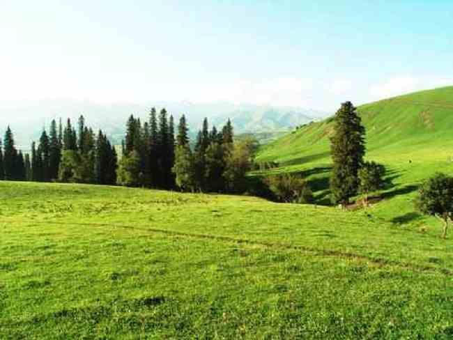 新疆喀纳斯风光,图一