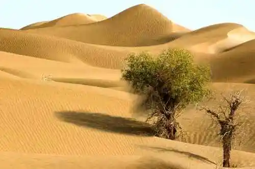 新疆塔克拉玛干沙漠