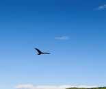 6月的禾木村美圖