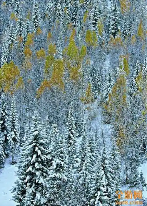 世外桃源白哈巴