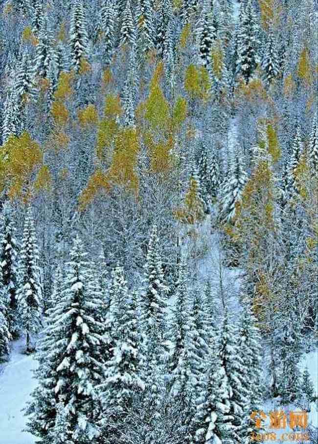 世外桃源白哈巴,图三