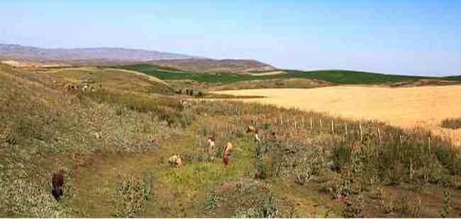 新疆伊犁托里风光,图五