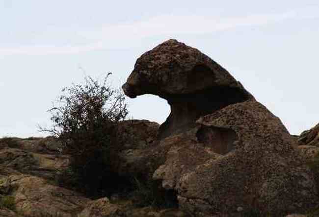 新疆伊犁哈巴河县风光,图二
