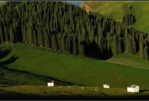 新疆昌吉索尔巴斯陶风光