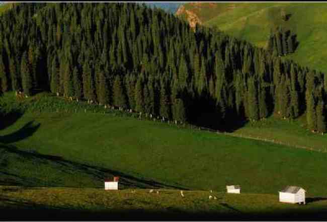 新疆昌吉索尔巴斯陶风光,图二