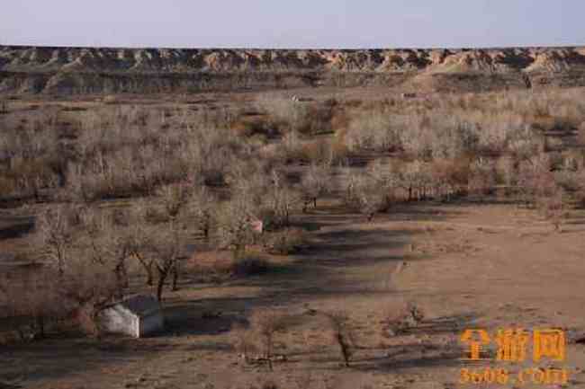 新疆自驾之旅（五）,图一