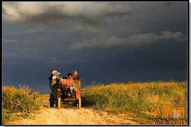 江布拉克摄影的天堂,图五