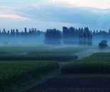 新疆佳信莊園晨曦