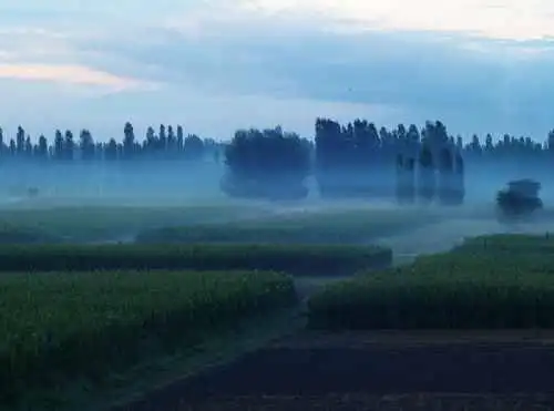 新疆佳信庄园晨曦