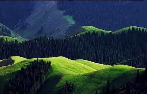 新疆索尔巴斯陶风光