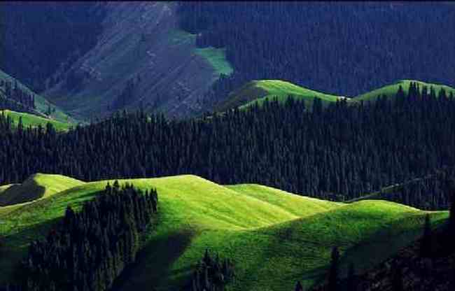 新疆索爾巴斯陶風(fēng)光,圖四