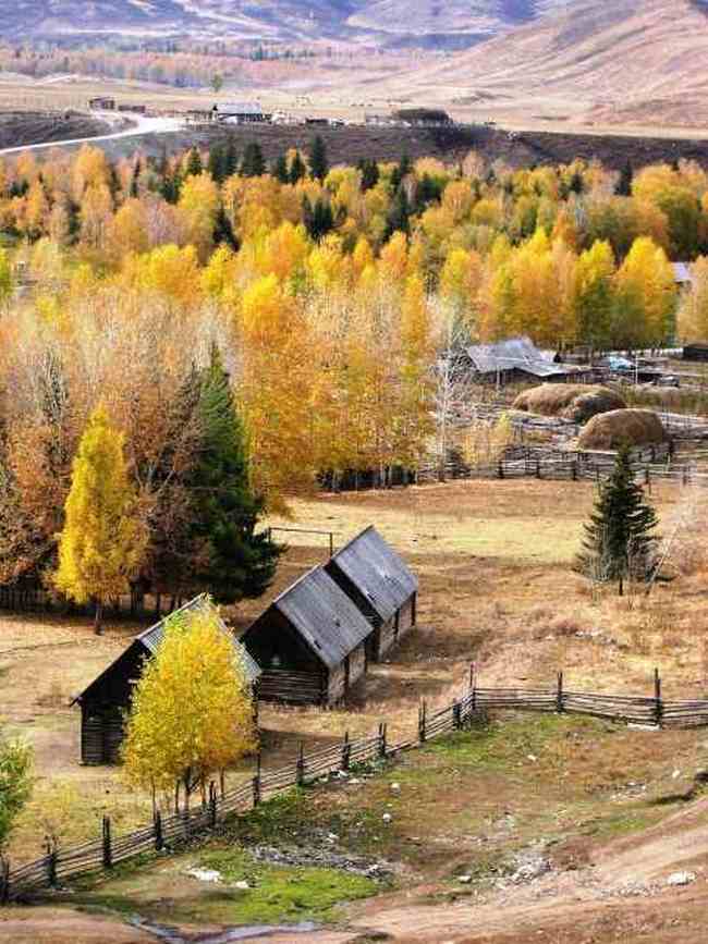 新疆 - 白哈巴风光,图五