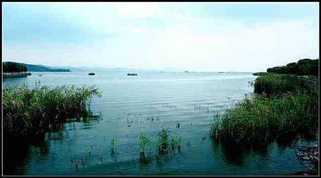 新疆 - 塔里木河,图二