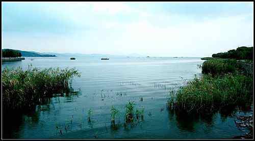 新疆 - 塔里木河,图二