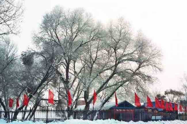 新疆青格達(dá)湖,圖二