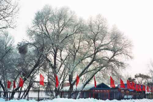 新疆青格达湖,图二