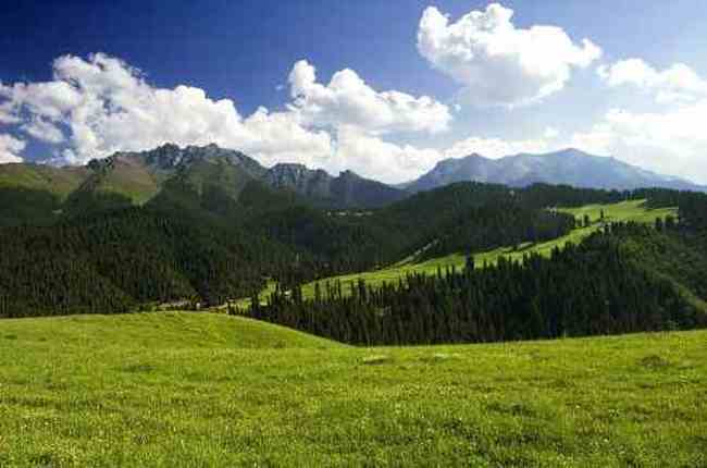 新疆江布拉克,图二