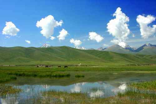 伊犁风光,图一
