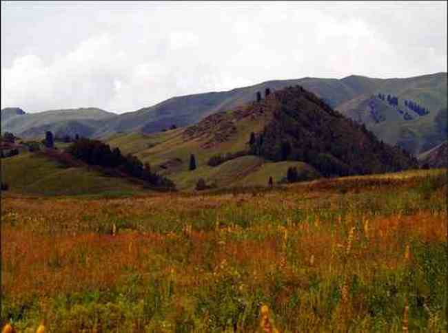 新疆夏尔希,图六