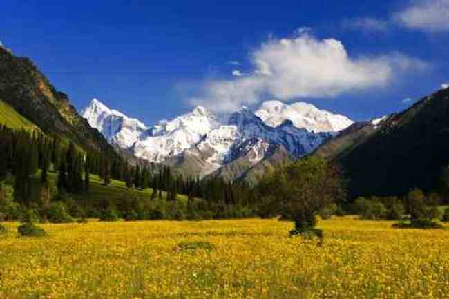 新疆伊犁河谷,图四