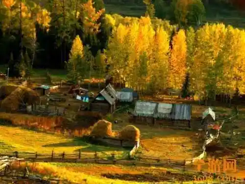 世外桃源白哈巴