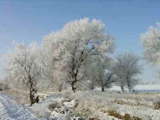 新疆青格達(dá)湖,圖五