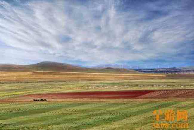 哈夏图的五彩地,图四