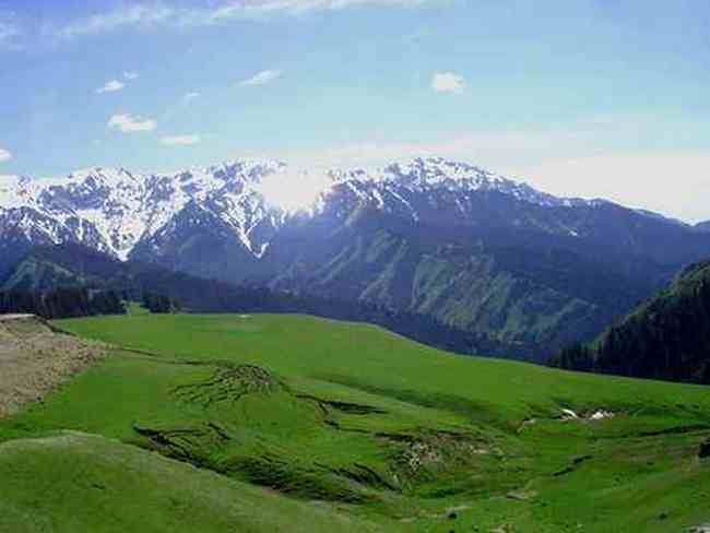 伊犁果子沟,图三