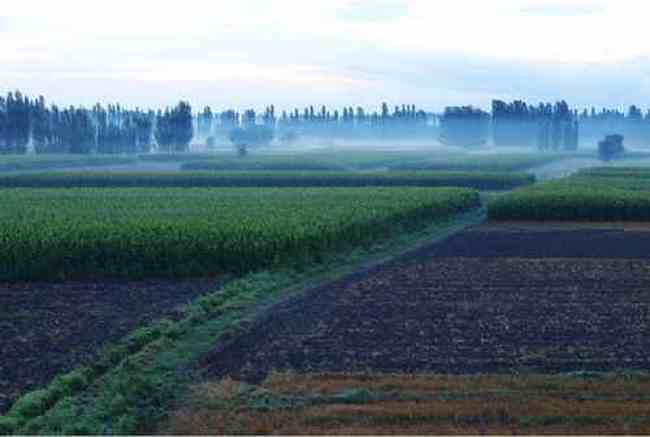 新疆佳信莊園晨曦,圖二