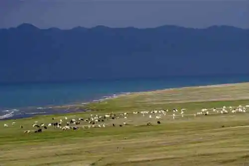 新疆赛里木风光