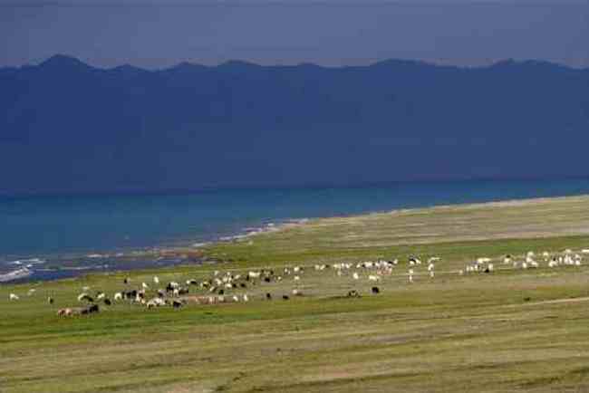 新疆赛里木风光,图三