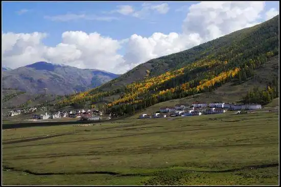 喀纳斯风光组图