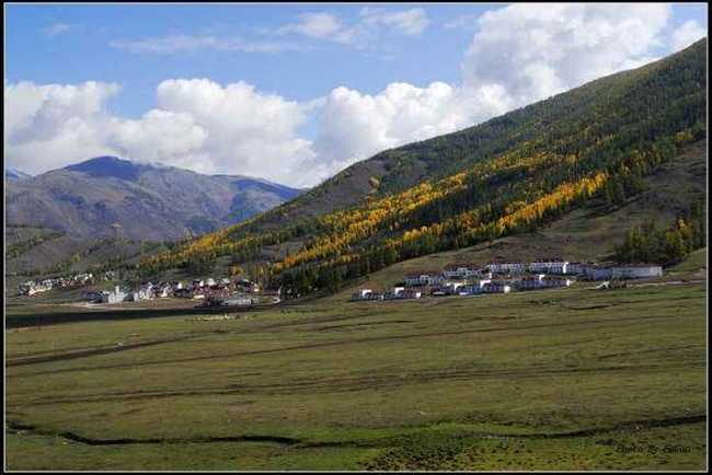 喀纳斯风光组图,图二十四