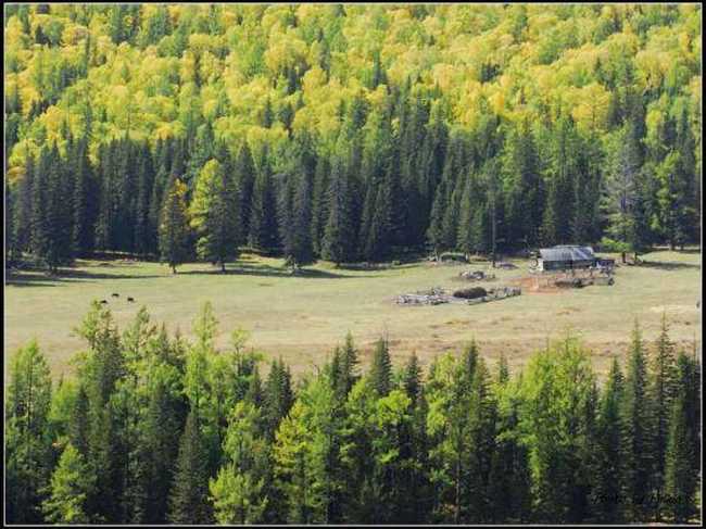 喀纳斯风光组图,图十八