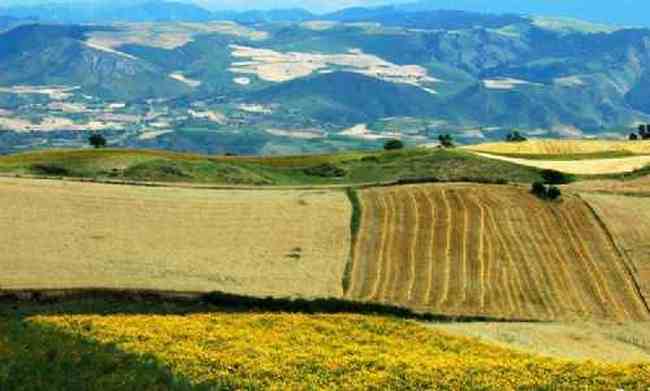 新疆江不拉克風光,圖十三